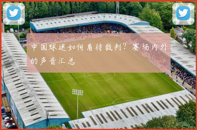 中国球迷如何看待裁判？赛场内外的声音汇总